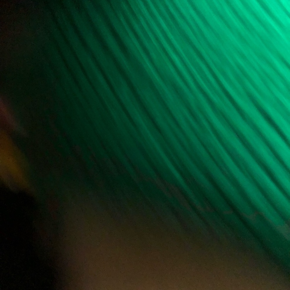 Meet your Posher, Brandi